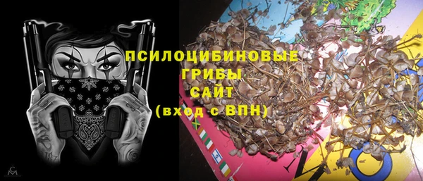 мескалин Алексин